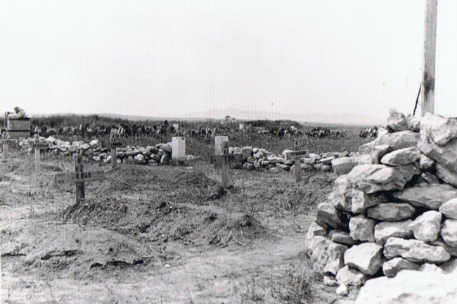 NZEF gravesite
