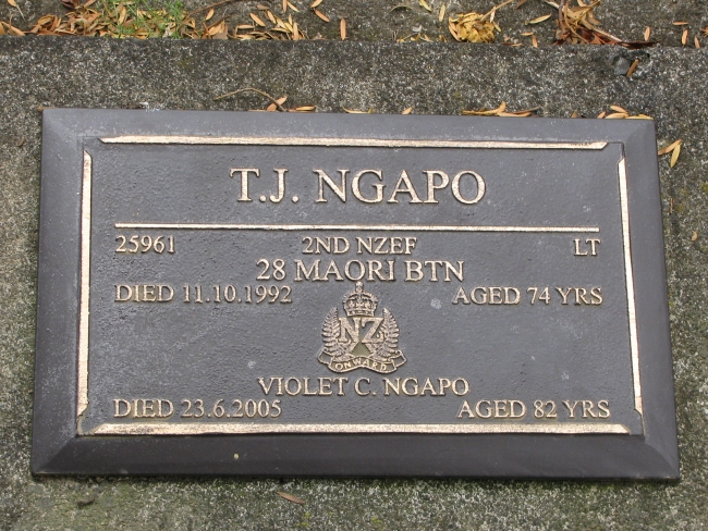 Lt T J NGAPO 25961