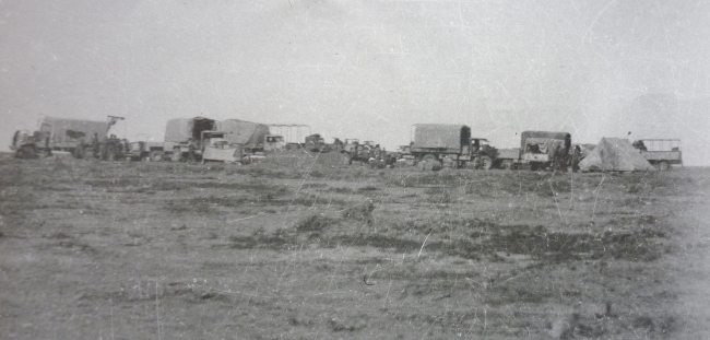 Maori Battalion Transports In For Service..