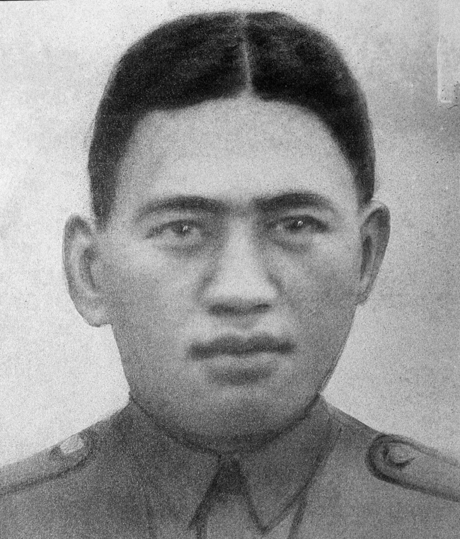Brown Raroa
