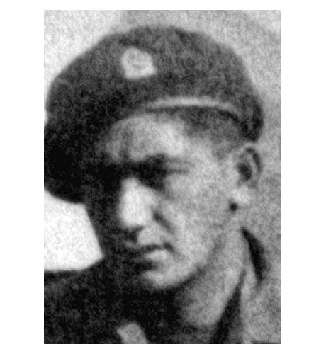 Rangi Wilson