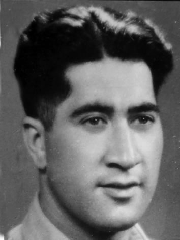Motu Albert 