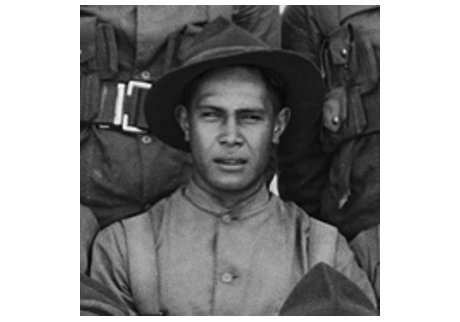 Nelson Carroll