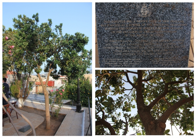 A memorial of friendship, Galatas