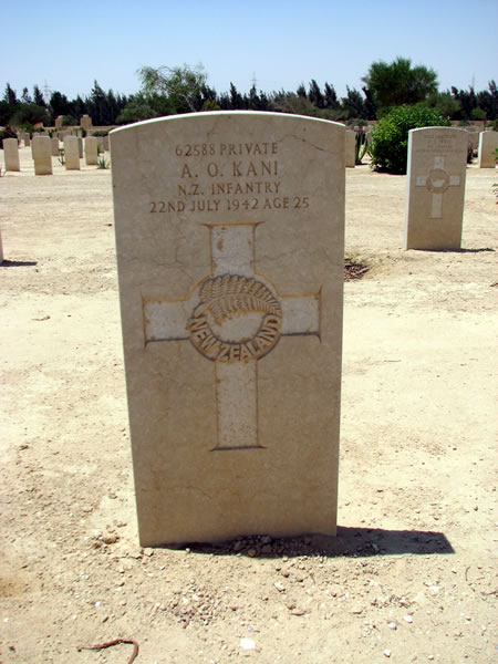 Albert Ottley Kani's grave