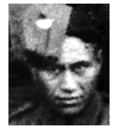 Hemi Maukau