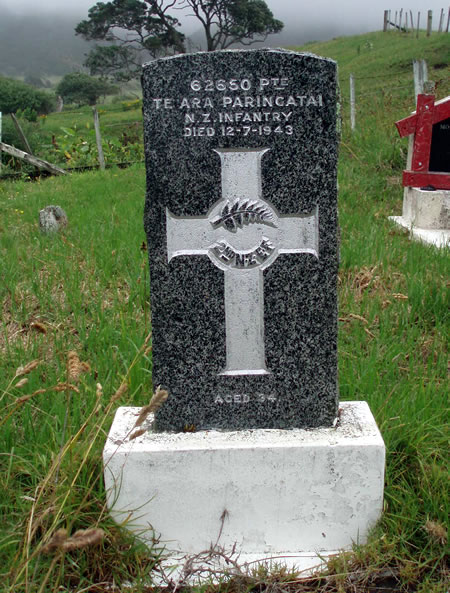 Te Ara Paringatai's grave