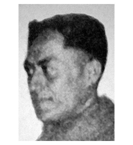 Haihana Puha