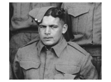 Tiger Raroa
