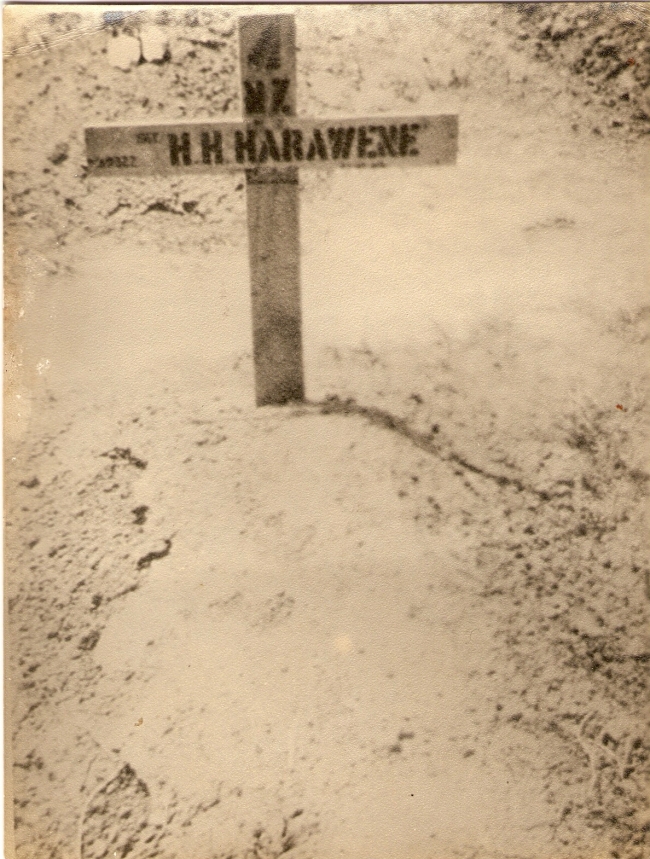 Hone Hapa Harawene
