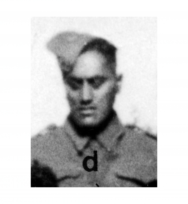 Tarona Wairau