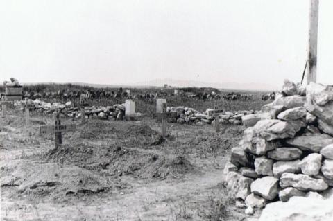 NZEF gravesite