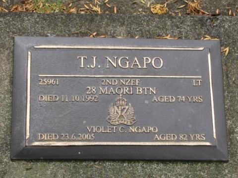 Lt T J NGAPO 25961