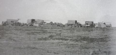 Maori Battalion Transports In For Service..