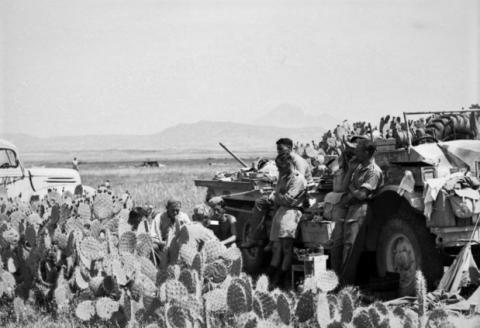 Battle Over On The Plains Of Tunis
