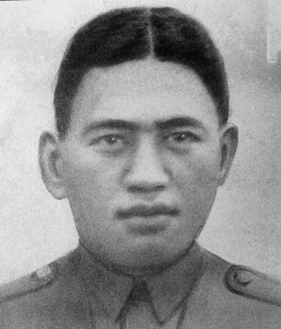 Brown Raroa