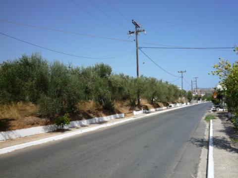 42 Street, Canea, Kariti