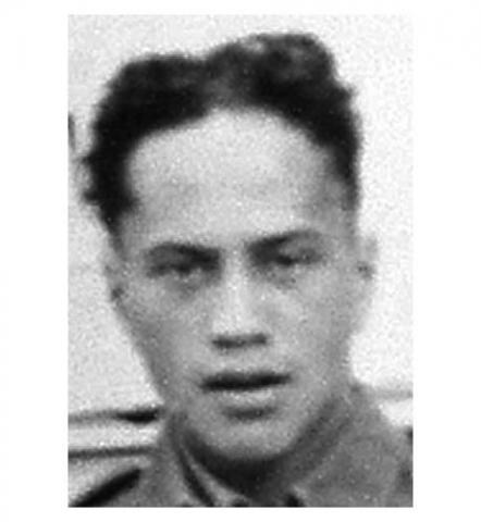 Miki Haenga