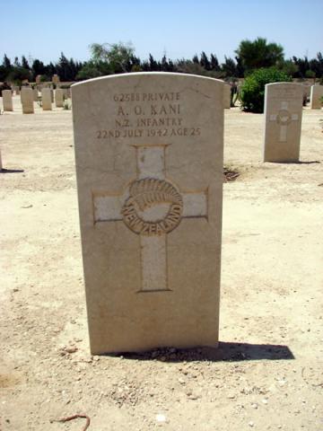 Albert Ottley Kani's grave