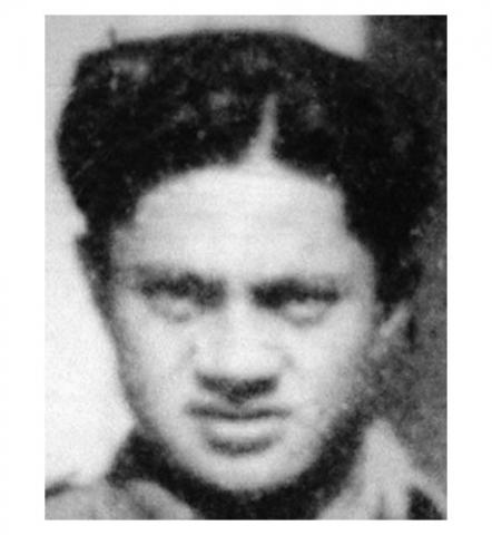 Timoti Koia