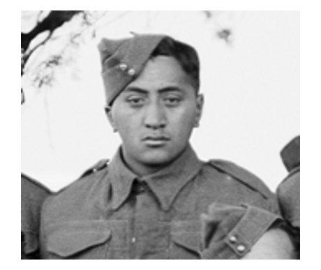 Buller Mataira