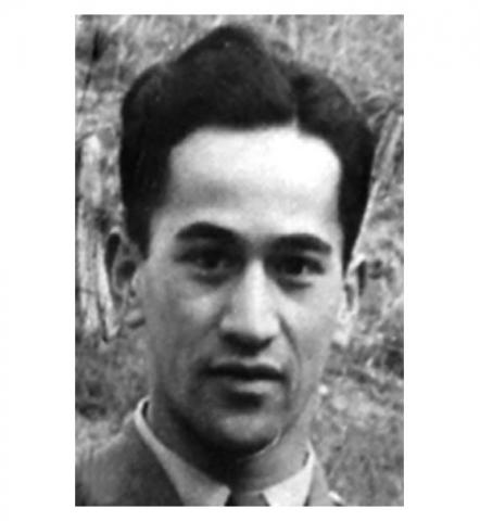 Henare Ngata