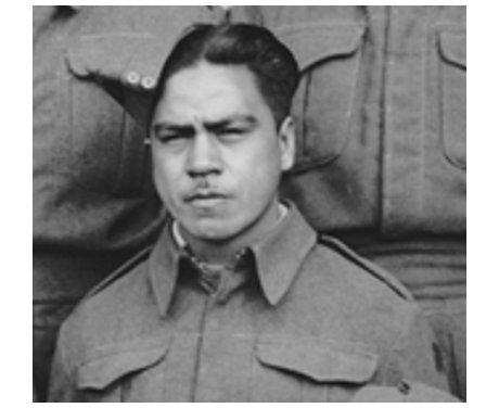 Te Hohepa (Joe) Ngata