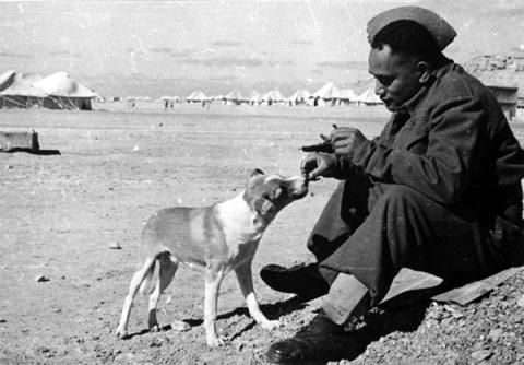 Māori soldier with Paddy, Christmas 1943