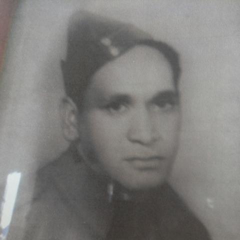 Hira Pera Pokaihau