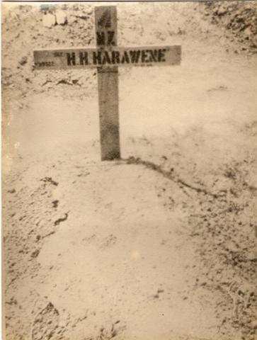 Hone Hapa Harawene
