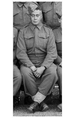 Rapana Tanguru