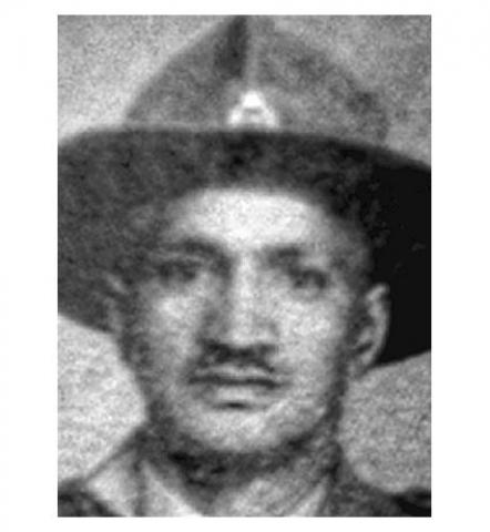 Hani Totoro