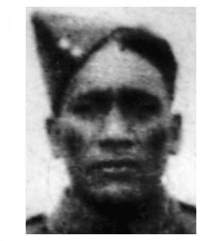 Tawhai Waenga