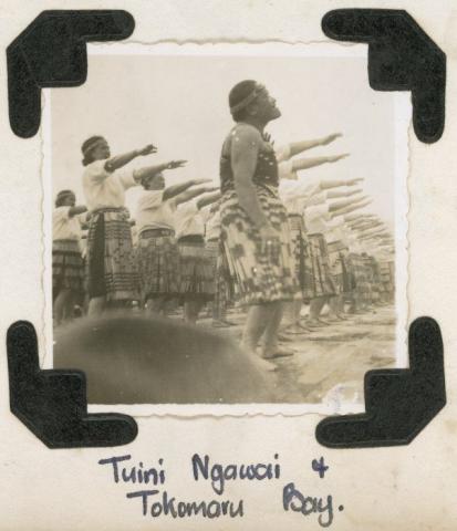 tuini-ngawai.jpg