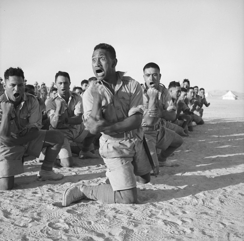 ccoy.jpg